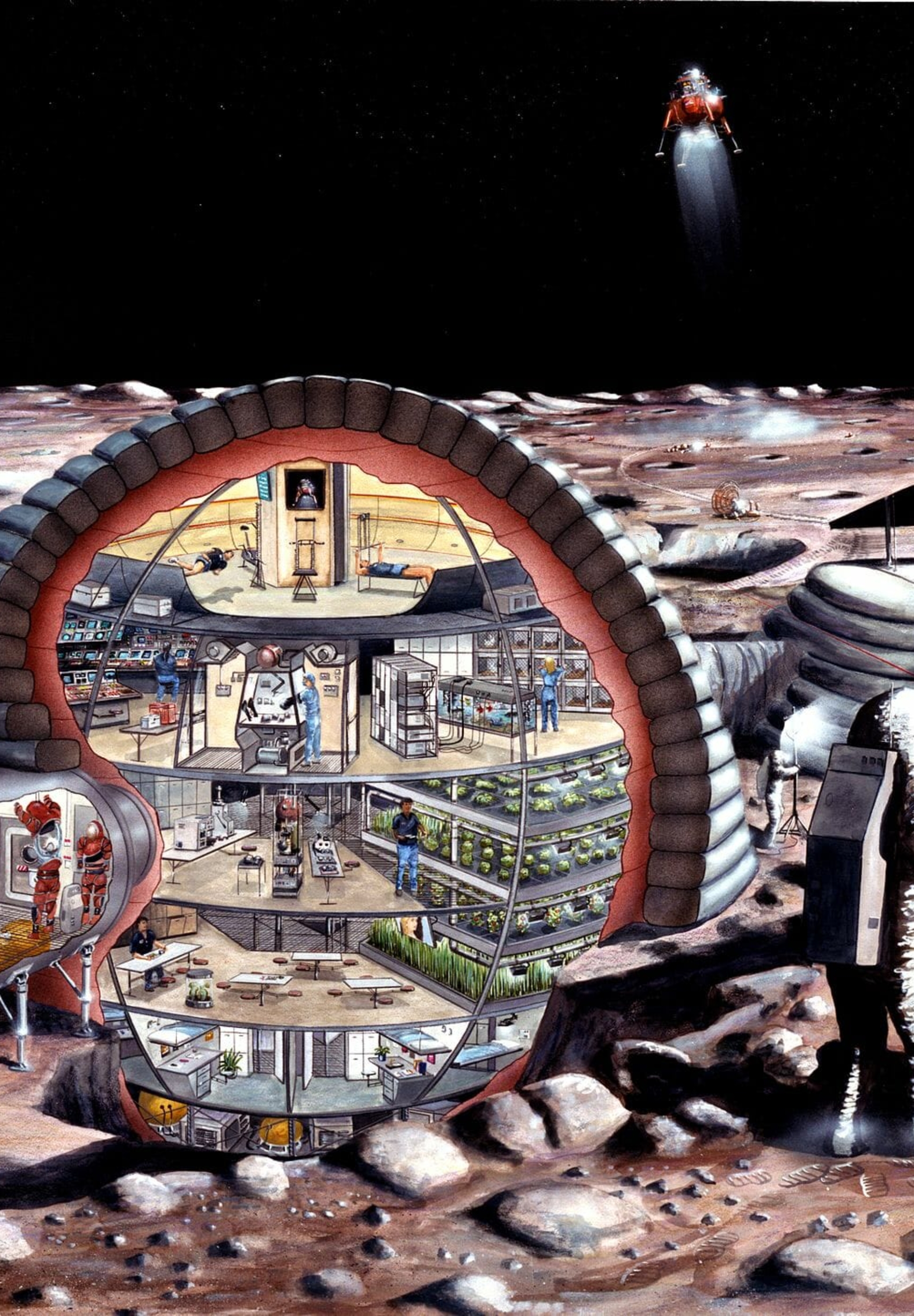 Inflatable_habitat_s89_20084